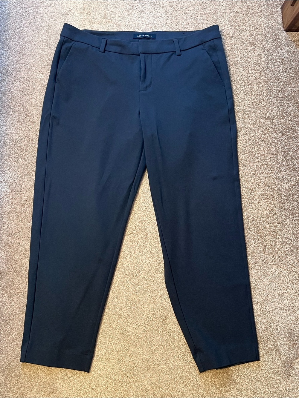 Liverpool Navy Dress Pants